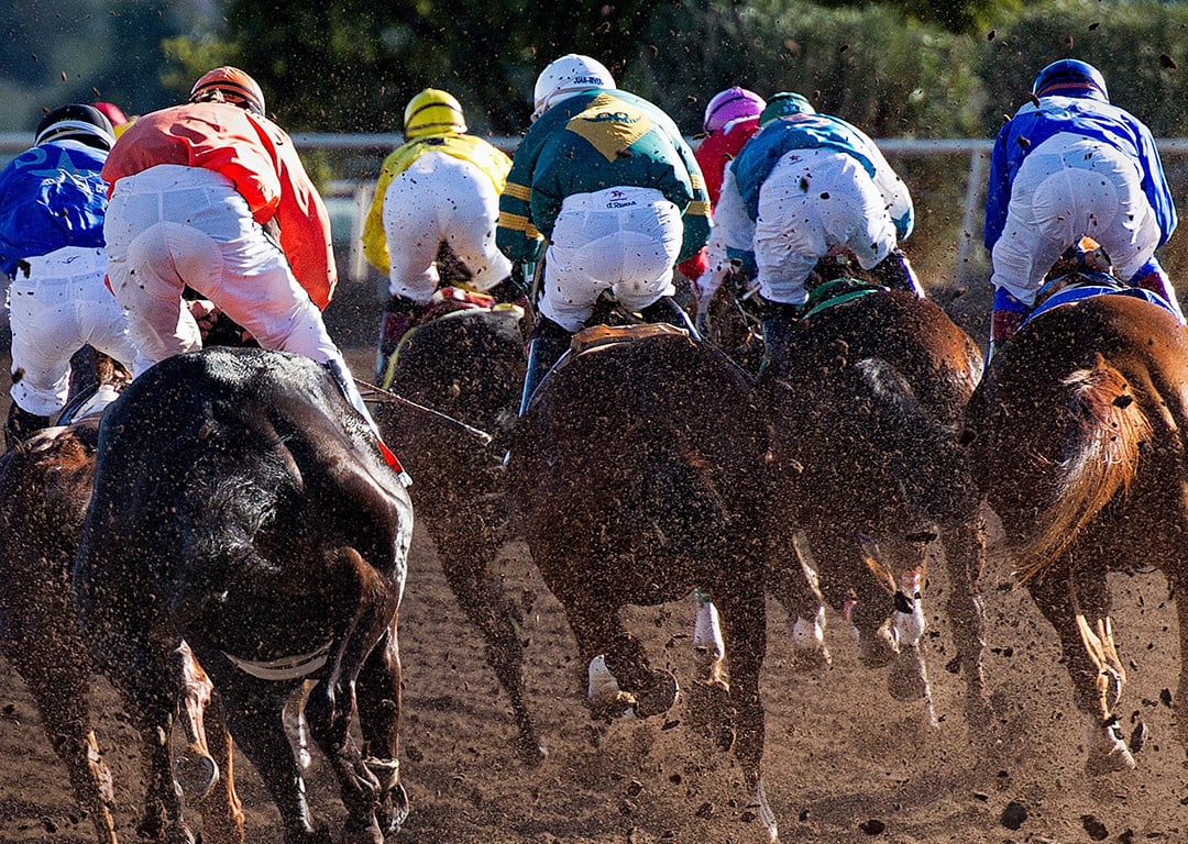 unsplash horse racing cropped